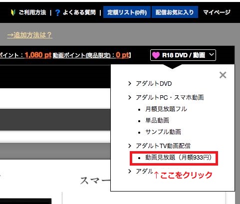 TSUTAYAのアダルト動画VODの評価と感想